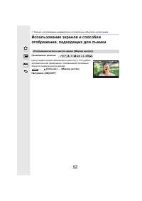 Страница 219