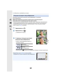 Страница 229