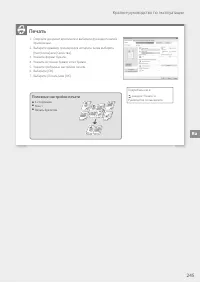Страница 245