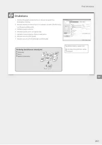 Страница 261