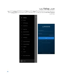 Страница 137