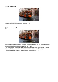 Страница 187