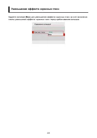 Страница 226