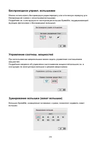 Страница 234