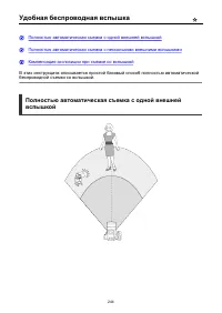 Страница 244