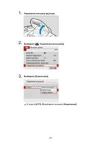 Страница 245