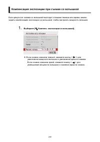 Страница 249