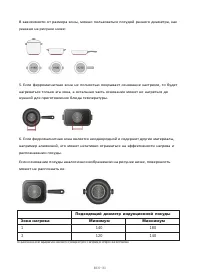 Страница 231