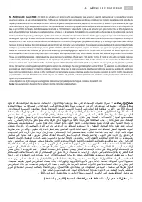 Pagina 17