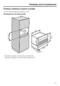 Страница 111