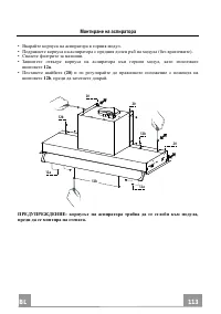 Страница 113