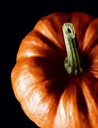 Страница 114