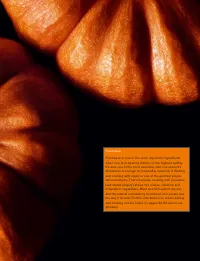 Страница 115