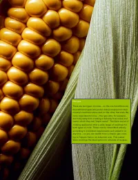 Страница 119