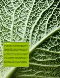 Страница 120