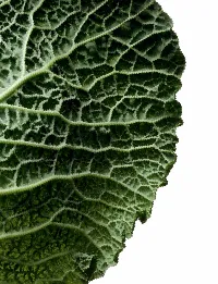 Страница 121