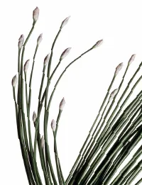 Страница 122