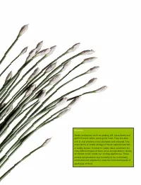 Страница 123