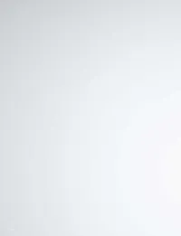 Страница 172