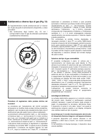 Pagina 12