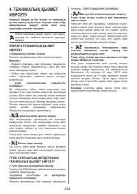 Страница 234