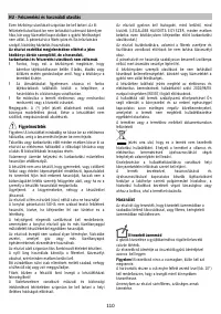 Страница 110