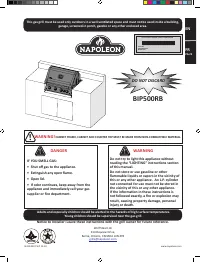 Napoleon BIP500RBPSS-3