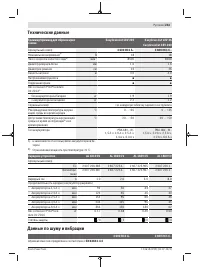 Страница 243