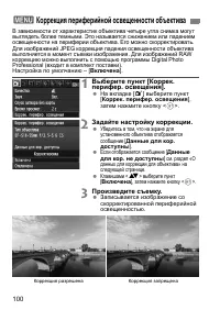 Страница 100