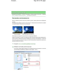 Страница 264