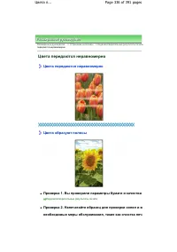 Страница 336