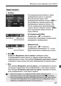 Страница 247