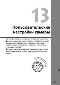 Страница 249