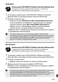 Страница 313