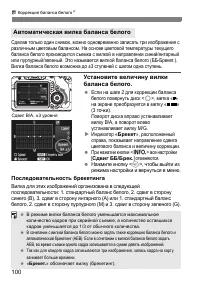 Страница 100