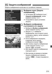 Страница 213