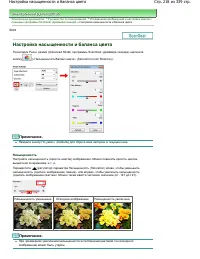 Страница 218