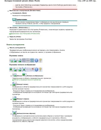 Страница 234