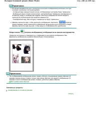 Страница 236