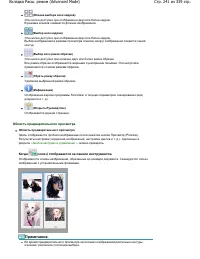 Страница 241