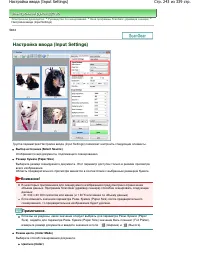 Страница 243