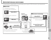 Страница 117