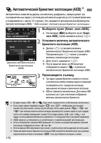 Страница 170