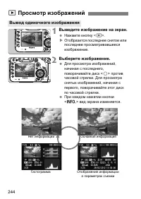 Страница 244