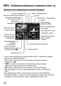Страница 246