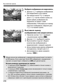 Страница 256