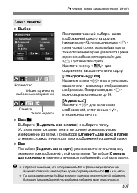 Страница 307