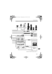 Страница 311