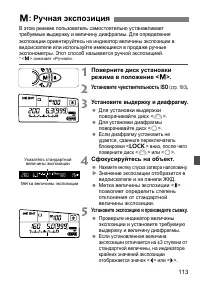 Страница 113