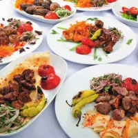 Страница 113